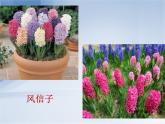 14留給母校的紀念 課件