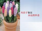 14留給母校的紀念 課件