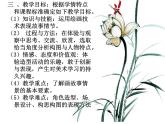 11畫故事  說課 課件