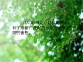 15《我的成長記錄》 課件