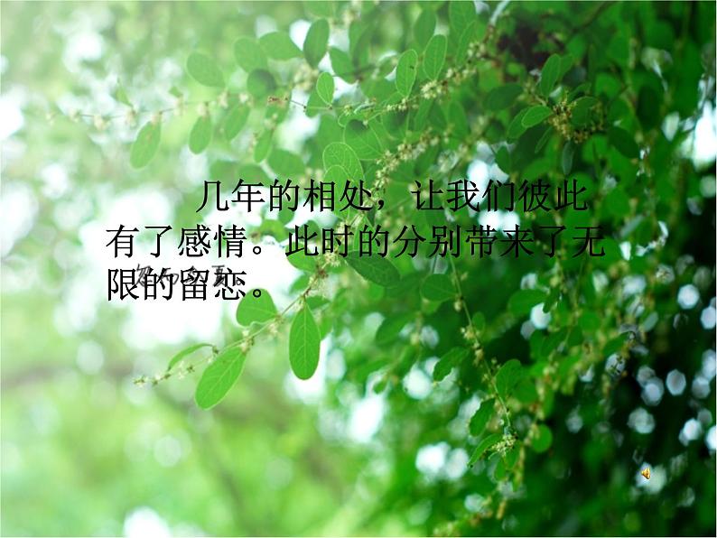 15《我的成长记录》 课件第5页