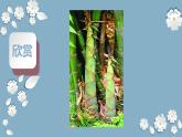三年级下册美术课件－19渐变的形  ｜苏少版