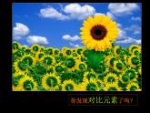 四年級(jí)下冊(cè)美術(shù)課件－11《對(duì)比的藝術(shù)》 ｜蘇少版