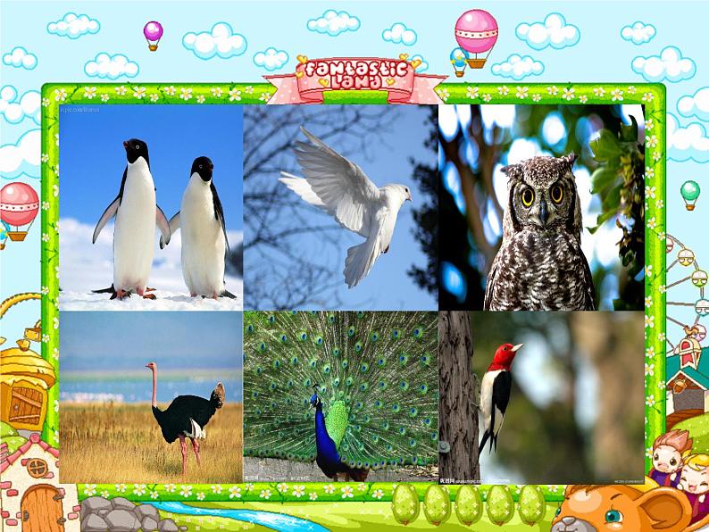 四年级下册美术课件－6鸟和家禽  ｜苏少版01