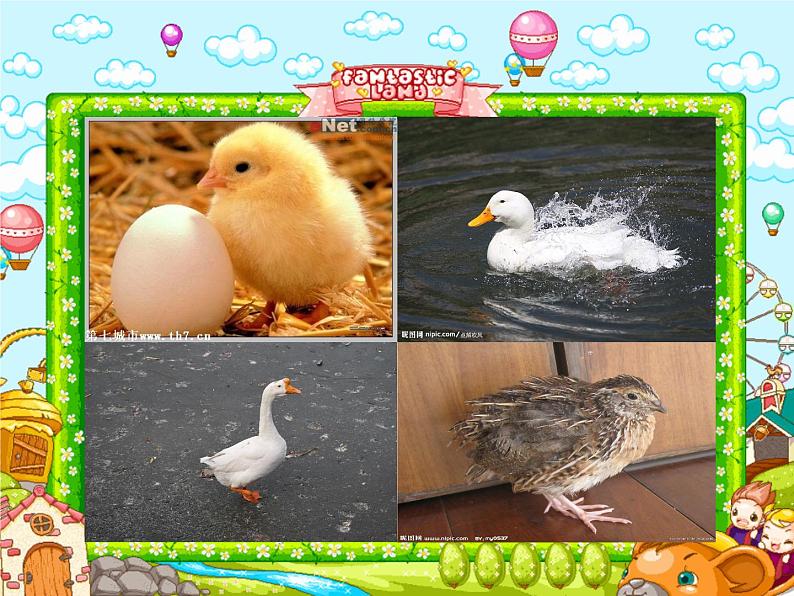 四年级下册美术课件－6鸟和家禽  ｜苏少版02