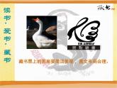 五年級下冊美術課件－11《藏書票》  ｜蘇少版