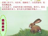 五年级下册美术课件－8《作文插图》 ｜苏少版