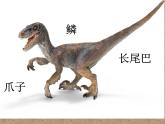 9恐龍世界 課件