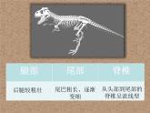 9恐龍世界 課件