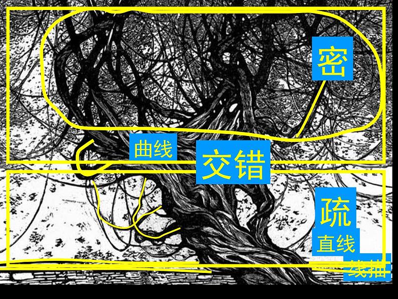 四年级下册美术课件－7《生长的植物》  ｜浙美版第5页