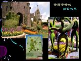 六年级下册美术课件－5《奇思妙想》｜浙美版