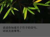 六年级下册美术课件－10竹  ｜浙美版