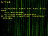 六年级下册美术课件－10竹  ｜浙美版