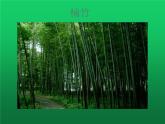 六年级下册美术课件－10竹  ｜浙美版