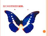 二年级下册美术课件-第5课  折剪蝴蝶丨浙美版