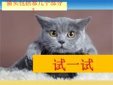 二年级下册美术课件-第17课  可爱的猫咪丨浙美版