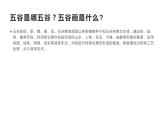 四年級美術(shù)下冊課件-第3課 “五谷”作畫（2）-人教版