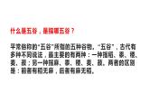 四年級美術(shù)下冊課件-第3課 “五谷”作畫（11）-人教版（15張PPT）