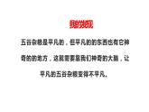 四年級美術(shù)下冊課件-第3課 “五谷”作畫（11）-人教版（15張PPT）