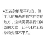 四年級美術(shù)下冊課件-第3課 “五谷”作畫（3）-人教版