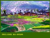 赣美版二下4.春夏的色彩 课件