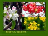 赣美版二下4.春夏的色彩 课件