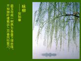 赣美版二下4.春夏的色彩 课件