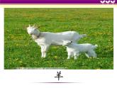 赣美版一下20.我们是朋友 课件