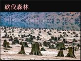 赣美版三下 3.未来的畅想 课件