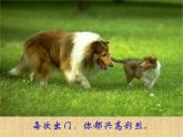 一年級下冊美術課件－8.小動物和媽媽｜嶺南版