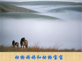 一年級下冊美術課件－8.小動物和媽媽｜嶺南版