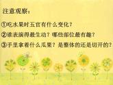 二年级下册美术课件－8.吃瓜果的人｜岭南版