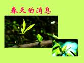 三年級(jí)下冊(cè)美術(shù)課件－13.春天的消息 ｜嶺南版