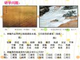 五年级下册美术课件－9.用线条、色彩画感觉 ｜岭南版