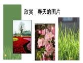 一年級(jí)下冊(cè)美術(shù)課件－6.春天的色彩｜蘇少版
