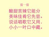 一年級下冊美術(shù)課件－16.畫味覺、畫嗅覺｜蘇少版