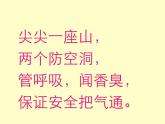 一年級下冊美術(shù)課件－16.畫味覺、畫嗅覺｜蘇少版