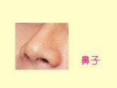一年級下冊美術(shù)課件－16.畫味覺、畫嗅覺｜蘇少版