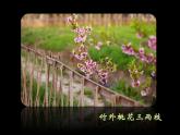 二年級(jí)下冊(cè)美術(shù)課件－6.花兒朵朵（一）｜蘇少版