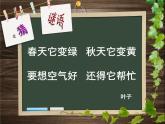 二年級(jí)下冊美術(shù)課件－13.會(huì)變的花、樹、葉｜蘇少版