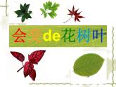 二年級(jí)下冊美術(shù)課件－13.會(huì)變的花、樹、葉｜蘇少版