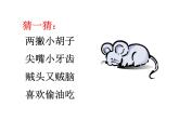 二年級下冊美術(shù)課件－5.動物朋友（二）｜蘇少版