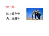 二年級下冊美術(shù)課件－5.動物朋友（二）｜蘇少版