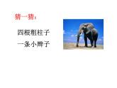 二年級下冊美術(shù)課件－5.動物朋友（二）｜蘇少版