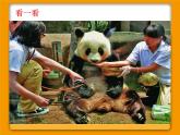 二年級(jí)下冊(cè)美術(shù)課件－4.動(dòng)物朋友（一）｜蘇少版