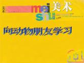 六年級下冊美術(shù)課件－6.向動物朋友學(xué)習(xí)｜蘇少版