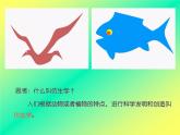 六年級下冊美術(shù)課件－6.向動物朋友學(xué)習(xí)｜蘇少版