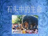 六年級下冊美術(shù)課件－15.有生命的石頭｜蘇少版
