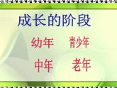 六年级下册美术课件－13.成长变化（一）｜苏少版
