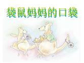 一年級下冊美術(shù)課件－8.袋鼠媽媽的口袋｜湘美版